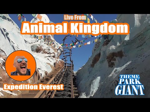 🔴LIVE Rope Drop at Animal Kingdom! Avatar Flight of Passage, Expedition Everest & Safari