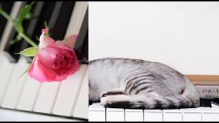 [ピアノ] マイ フェイバリット ジュエル/大原櫻子 (VER:ST 歌詞：字幕SUB対応/カラオケ)