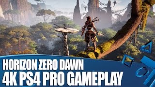 Horizon Zero Dawn