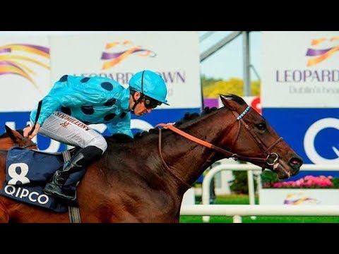 ALMANZOR - THE 2016 BEST 3-YEAR OLD HORSE