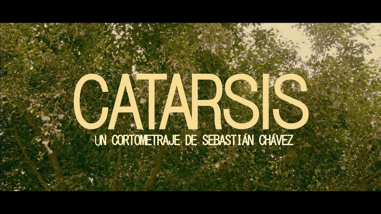 Catarsis
