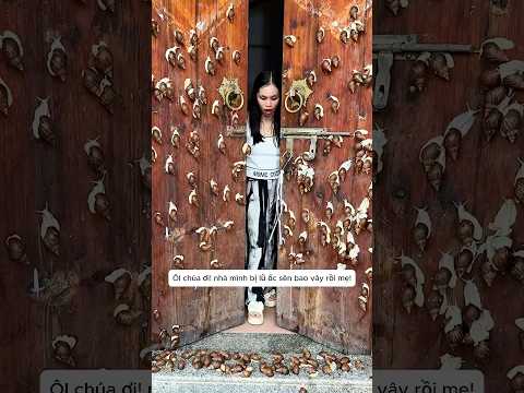 Lũ ốc sên bất hạnh xâm chiếm nhầm nhà #shorts