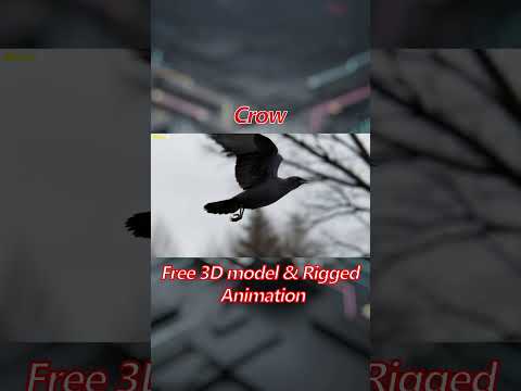 Crow #shorts #animation #character #3dmodeling #rigging  #crow  #cgi