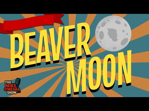 Ep 3558 : Beaver Moon