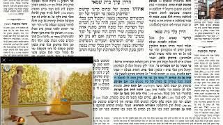 דף יומי מסכת זבחים דף מז Daf yomi Masechet Zevachim page 47  ע"י יוני גוטמן (שיעורי הדף היומי ב-20 דקות – מועבר ע"י ר' יוני גוטמן – לעילוי נשמת אביו ר' אלימלך צבי (צביקה) גוטמן ז"ל) - התמונה מוצגת ישירות מתוך אתר האינטרנט יוטיוב. זכויות היוצרים בתמונה שייכות ליוצרה. קישור קרדיט למקור התוכן נמצא בתוך דף הסרטון