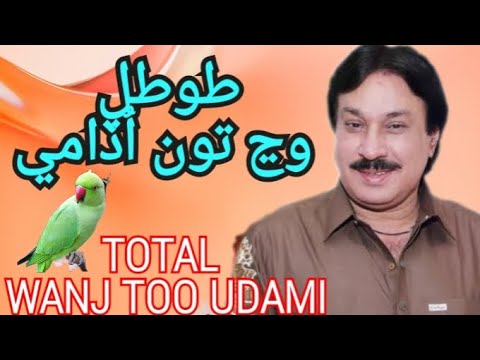 Total Wajn Too UDAMI By Shaman Ali Mirali Old Sindhi Music Remax Dance Modeling