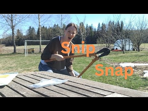 Prepping for cabbage planting! #insectnetting #gardening #veggies #insects #coldclimate