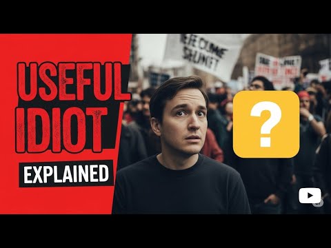 WHAT IS A USEFUL IDIOT?