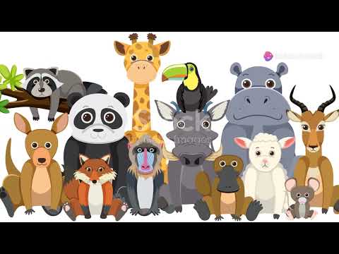 Animals Like Us: Animal Emotions