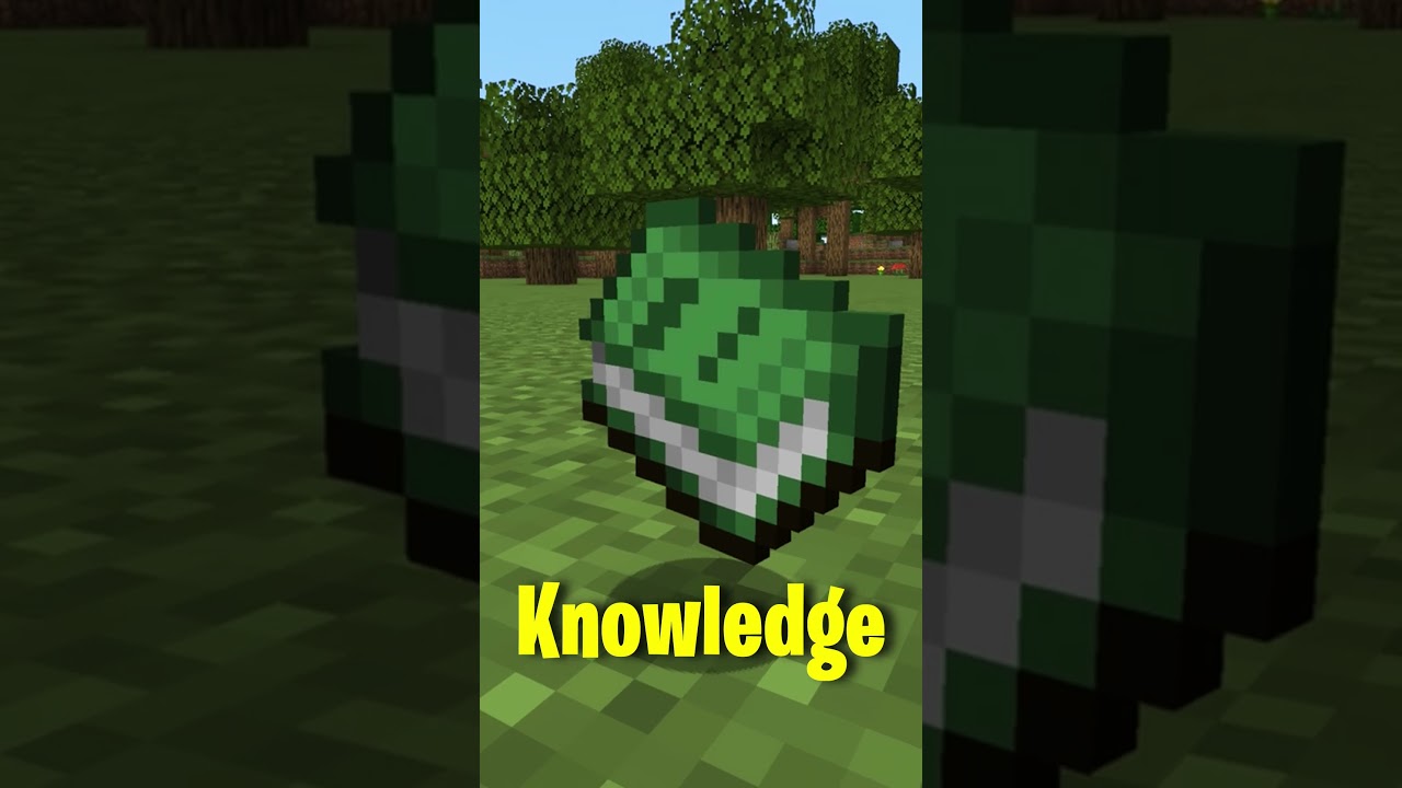 The Recipe Book Is A REAL Item! #minecraftshorts