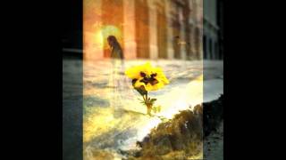 Come Thou Fount of Every Blessing slideshow video