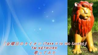 「金曜日のライオン (Take it to the Lucky)」TM NETWORK 歌ってみた