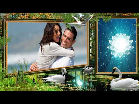 Do kołyski - Żyj z całych sił - Dżem