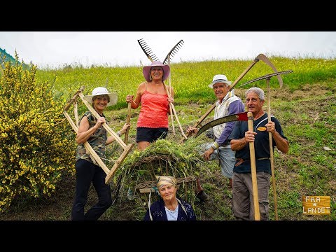 Antichi mestieri, la Fienagione