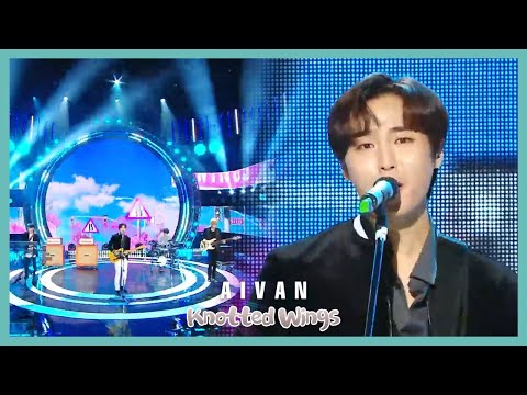[HOT] AIVAN - Knotted Wings,  아이반 - Knotted Wings Show Music core 20191214