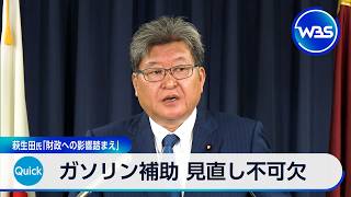 ガソリン補助 見直し不可欠 萩生田氏「財政への影響踏まえ」【WBS】