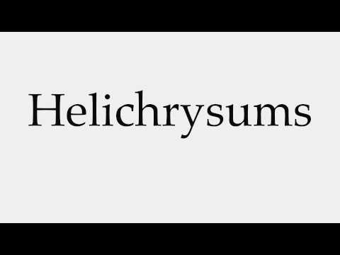 How to Pronounce Helichrysums