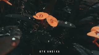 Download lagu Cinematic || a thousand years || story wa 30 detik || aesthetic mp3