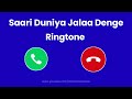Saari Duniya Jalaa Denge Ringtone Saari Duniya Jalaa Denge WhatsApp Status Animal Movie Ringtone