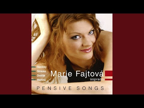 In Folk Tone, Op. 73, B. 146: No. 3. Ach, neni, neni tu, co by me tesilo (There is nothing here...