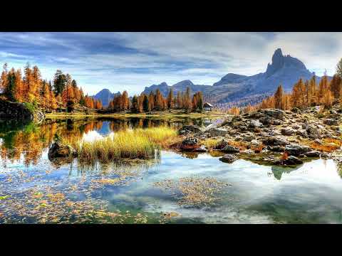 Ivory Tower - Philip Ayers, Celtic Music, Ambient Relaxing Music, Calming Flute Music
