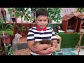 Habibi Menggendong Anak Otter Kecil Sedang Tidur