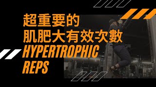 [問題] 訓練量求助