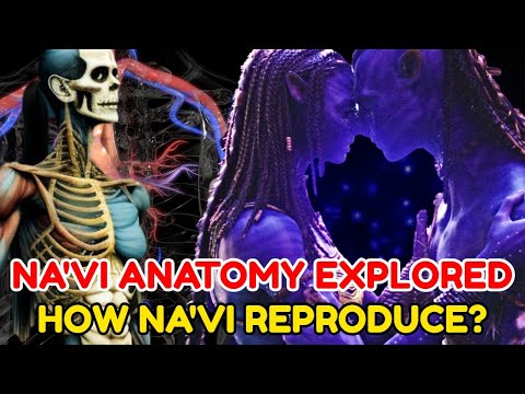 Do Avatar Have Genitalia
