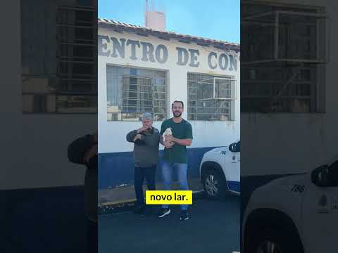  ADOTE UM PET E TRANSFORME VIDAS 