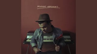 Minhas Verdades song artwork