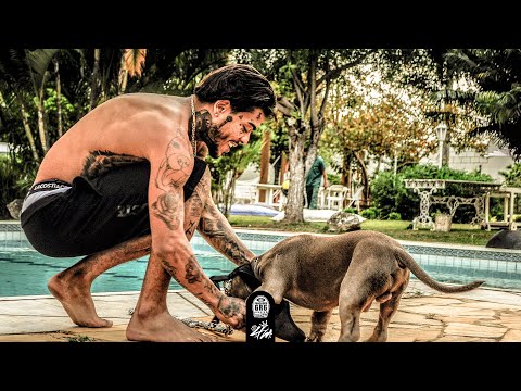 MINHA VIDA PASSA O TEMPO VOA - MC Kevin e MC Don Juan (DJ Perera)