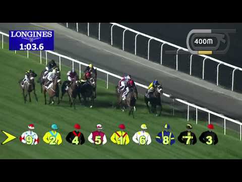 20.02.2014 Meydan (Dubai-UAE) 1.Race District One - Handicap 1.400 m