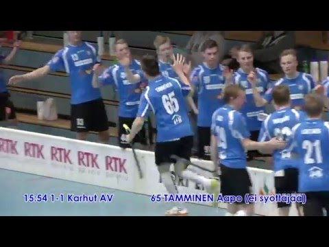 17.2.2016 - Karhut-Pirkat 11-4 maalikooste