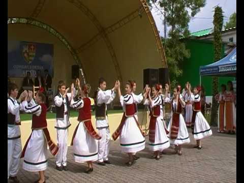 Ansamblul Lipovana - Grupa Mijlocie - Dans Bihor - 21.05.2010