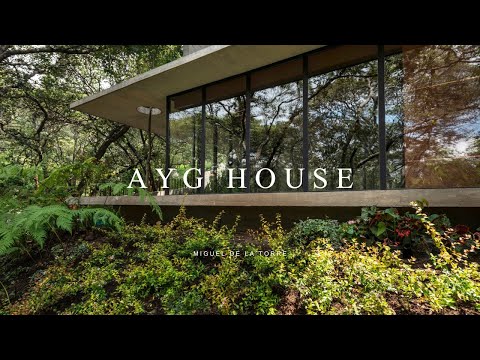 House Design Considering Vegetation And A Variety Of Very Large Trees that surround it