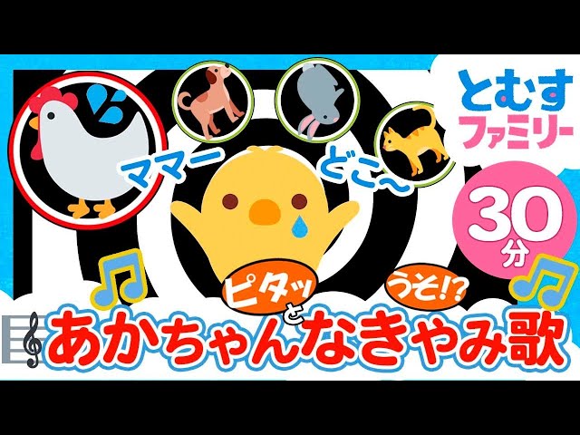 【30分連続】泣くのを忘れて夢中でバンバン！ 赤ちゃんなきやみ歌『いないいないバンバン』