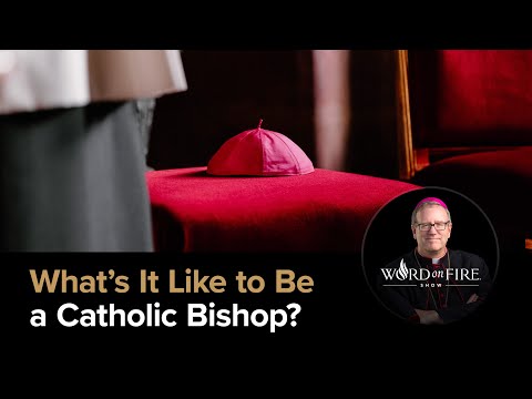 What’s It Like to Be a Catholic Bishop?