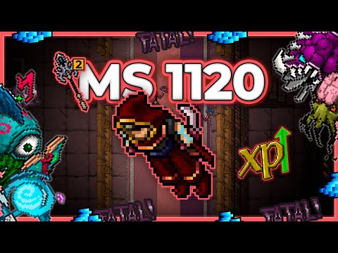 MS 1120 + EK Hunt Duo Secret Library Energy Section 7.5kk/h Raw - Tibia Hunt #tibia #tibiahunt