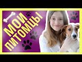 МОИ ПИТОМЦЫ: Моя собака и прежние питомцы. 
