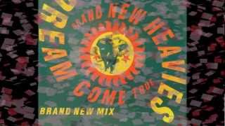 BRAND NEW HEAVIES - Dream Come True 12&quot; remix 1990 - Soul Jazz Funk UK Groove