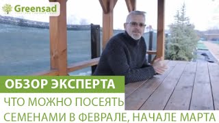 Смотреть онлайн Что можно посеять семенами в феврале