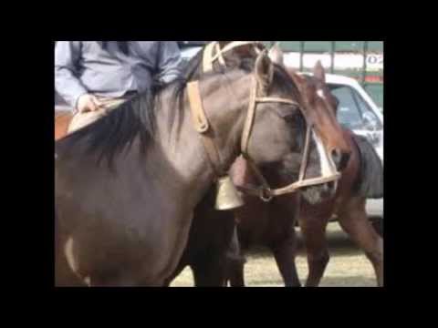 Carlos Ramón Fernandez - El Cencerro de la Mora