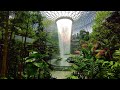HSBC Rain Vortex Singapore: World’s Tallest Indoor Waterfall