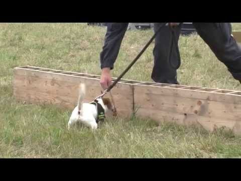 Dny NATO 2015 - nevojenští účastníci