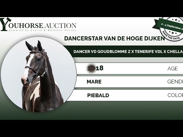 Dancerstar van de Hoge Dijken