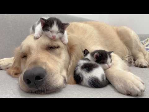 YouTube 썸네일