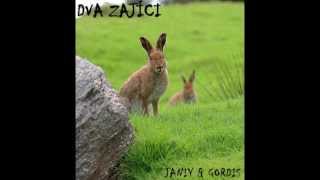 Video Janiy & Gordis - Dva zajíci