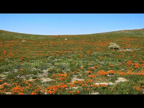 Live 2/26/2022 12:13 PM