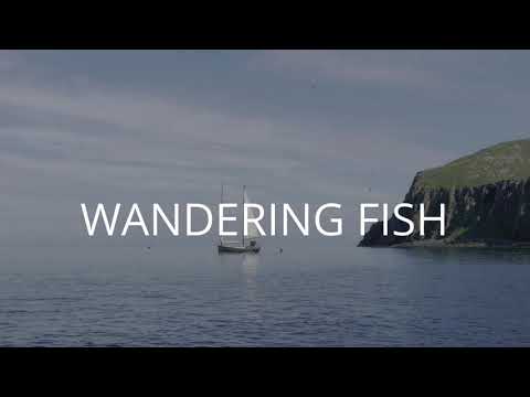 PIANOCEAN - Wandering Fish