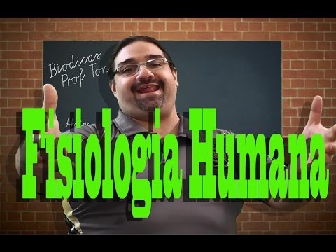 BIODICAS: Fisiologia Humana